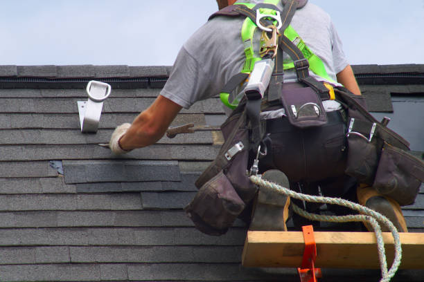 Best Residential Vinyl Siding Installation  in Horace, ND