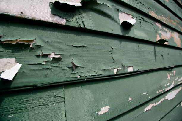 Best Insulated Siding Installation  in Horace, ND