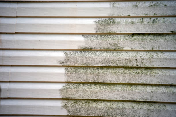 Best Steel Siding Installation  in Horace, ND
