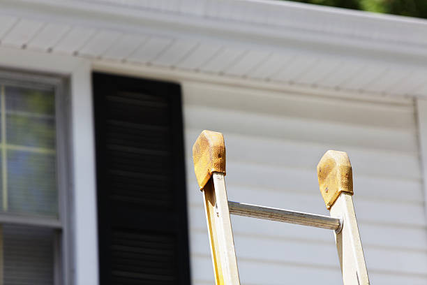 Best Brick Veneer Siding  in Horace, ND